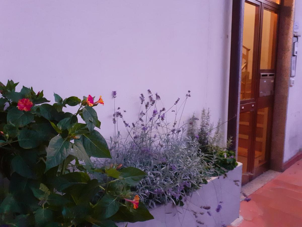 Locazione Turistica Chichibio Διαμέρισμα Πιστόια Εξωτερικό φωτογραφία